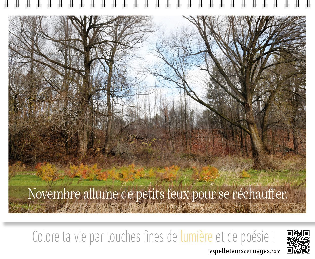 Calendrier Pose & Prose 2027 – Image 12
