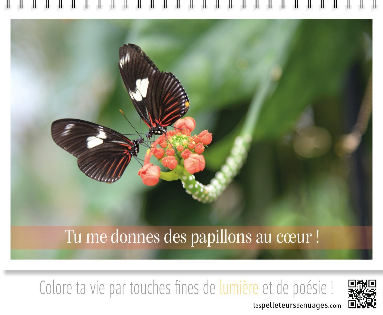 Calendrier Pose & Prose 2027 – Image 4