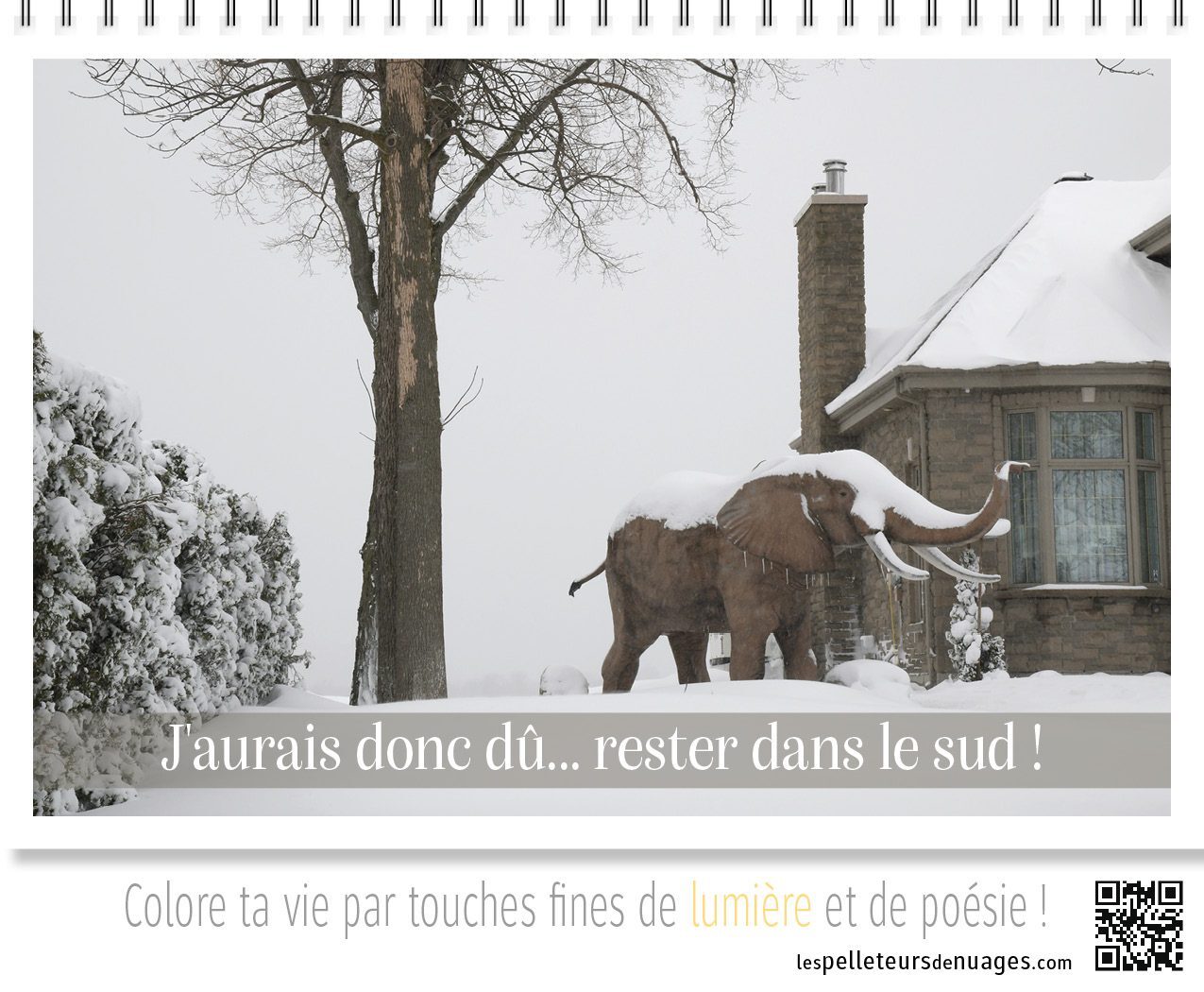 Calendrier Pose & Prose 2027 – Image 5