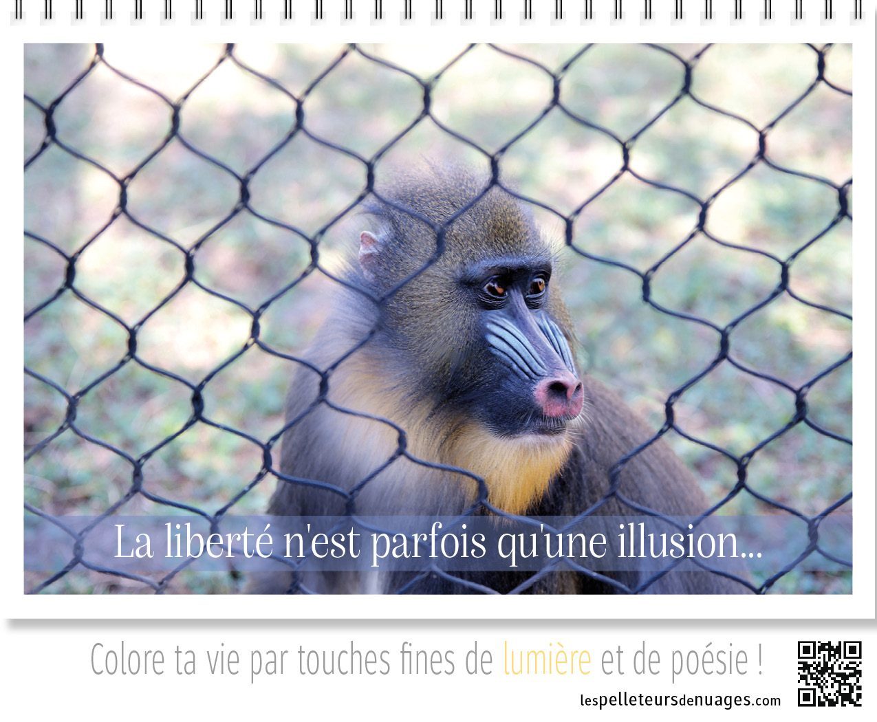 Calendrier Pose & Prose 2027 – Image 6