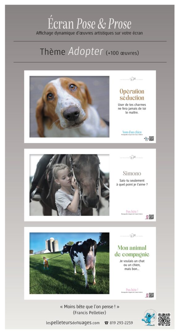 ech-themes1-les-pelleteurs-de-nuages