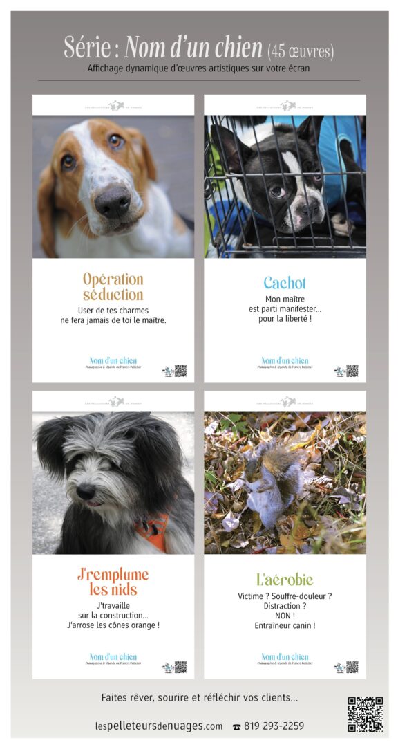 ecv-forfaits15-les-pelleteurs-de-nuages