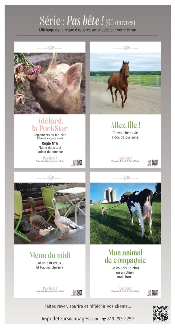 ecv-forfaits16-les-pelleteurs-de-nuages