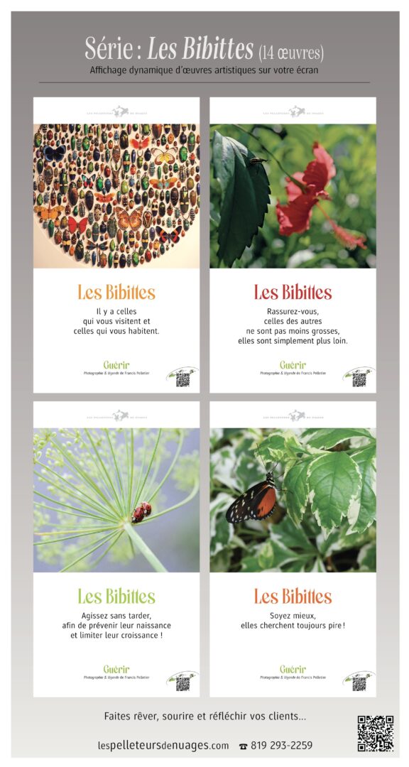 ecv-forfaits5-les-pelleteurs-de-nuages