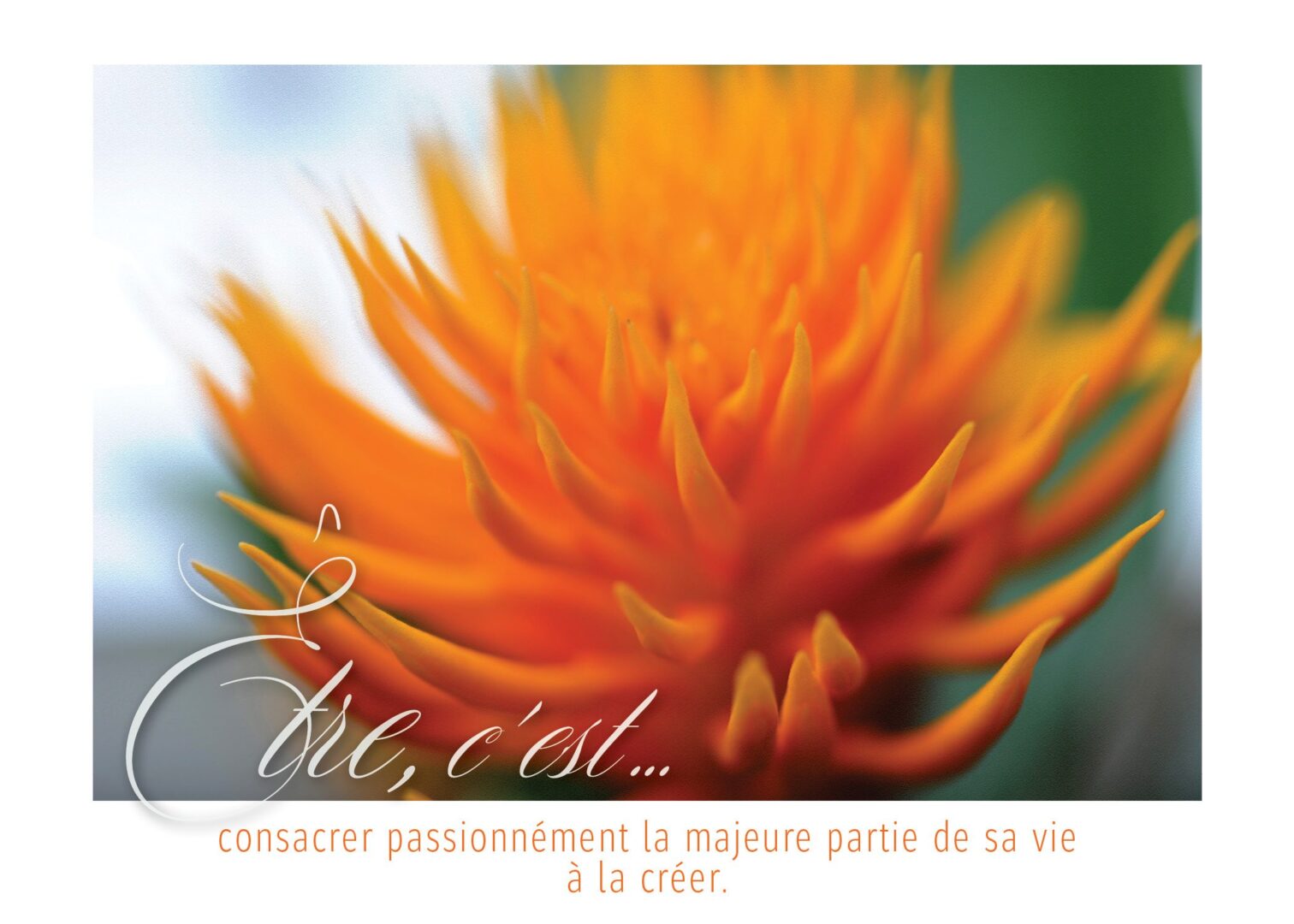 La passion selon...