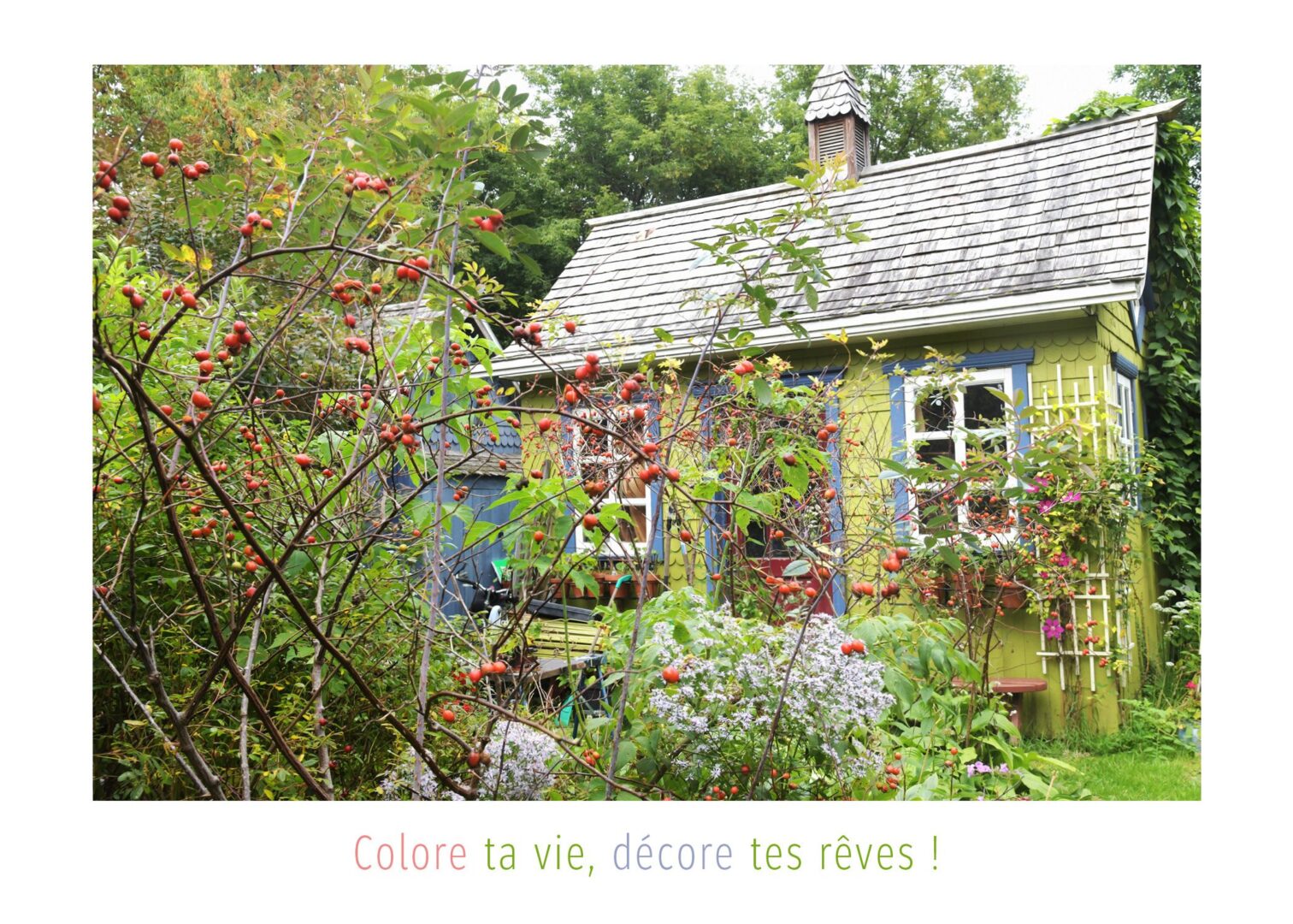 Ta vie en couleurs