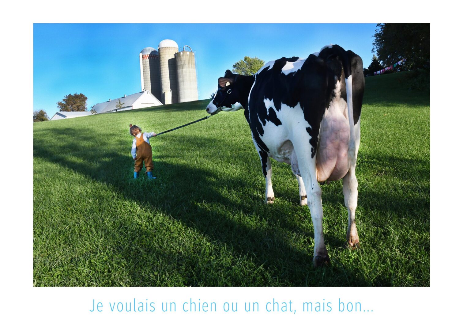 La grosse surprise