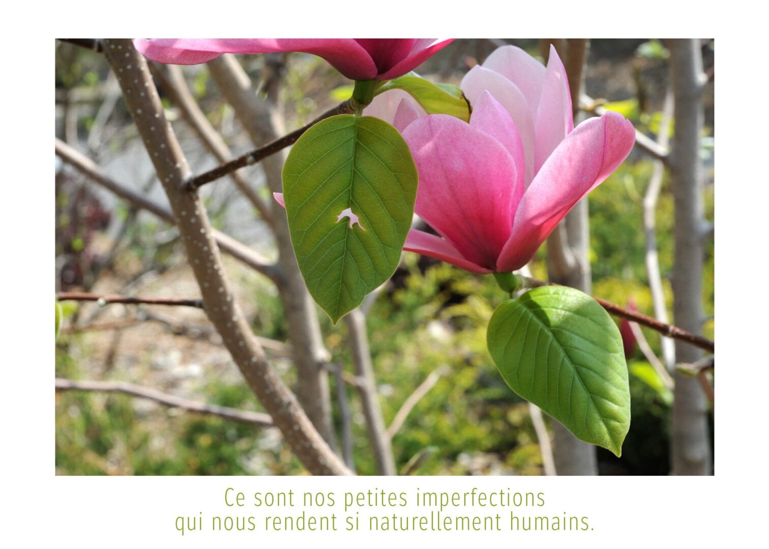 L'imparfait