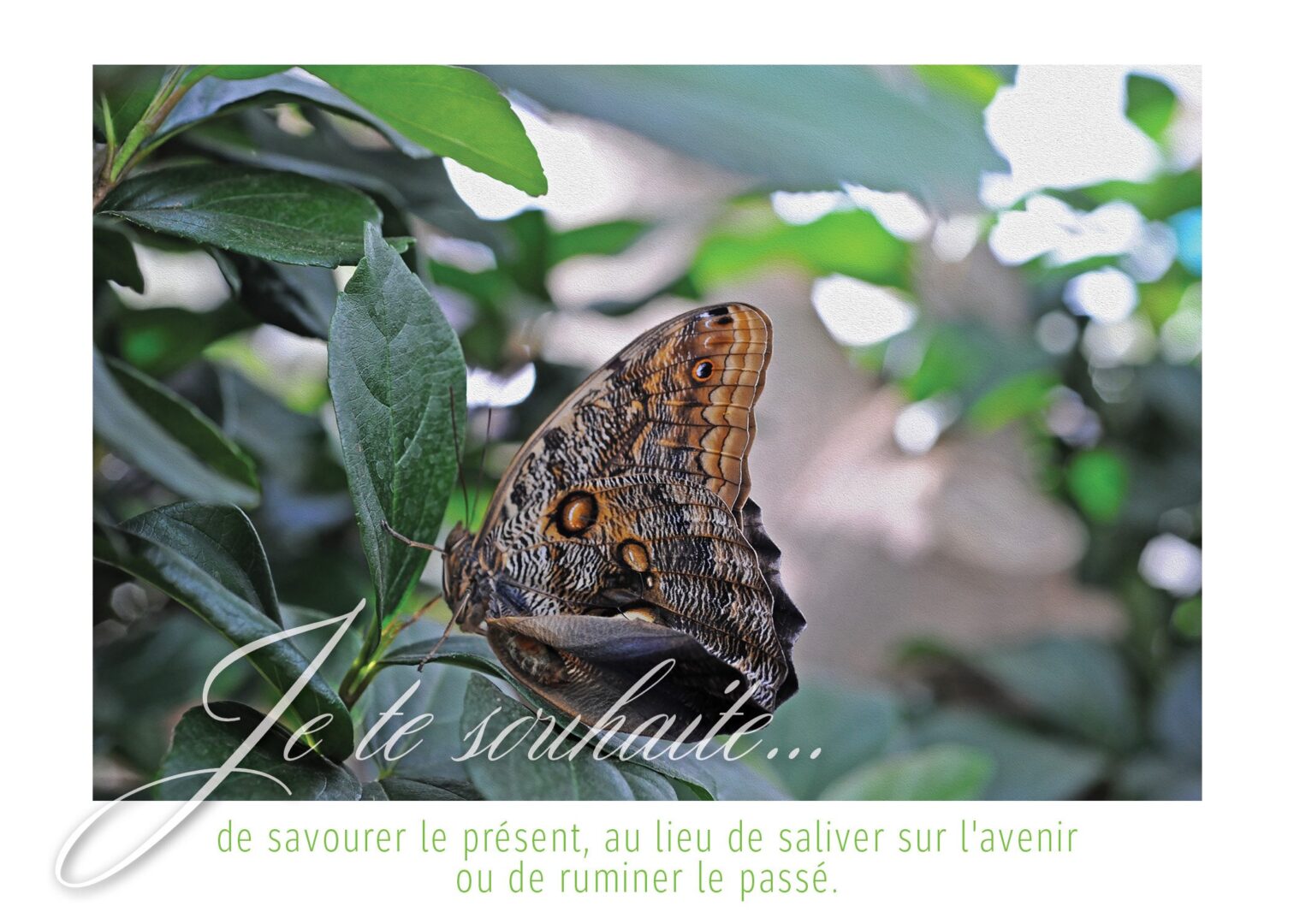 L'instant présent