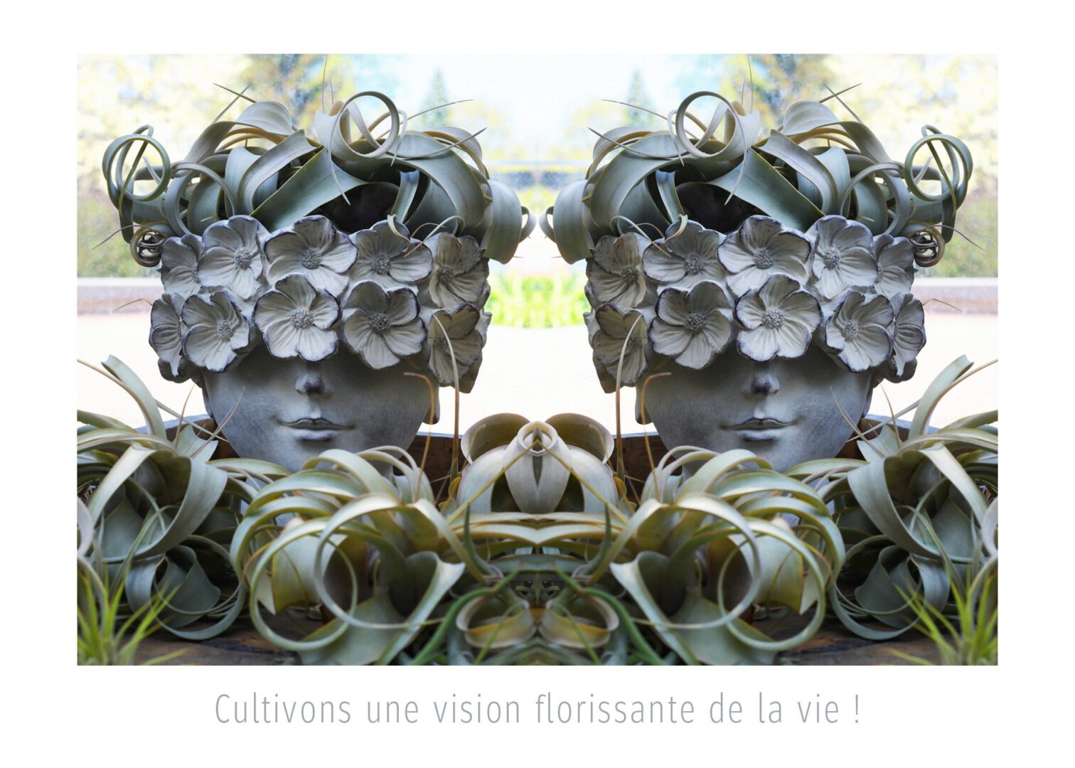 Têtes à fleurs