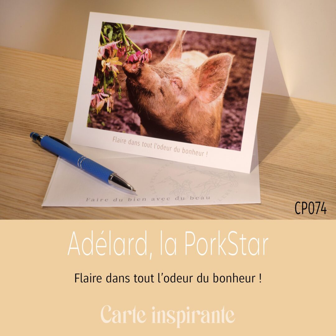 Adélard, la PorkStar – Image 3
