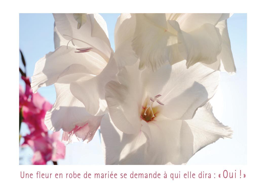 L'impromise