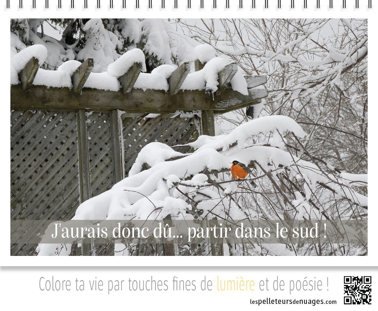Calendrier Pose & Prose 2027 – Image 2
